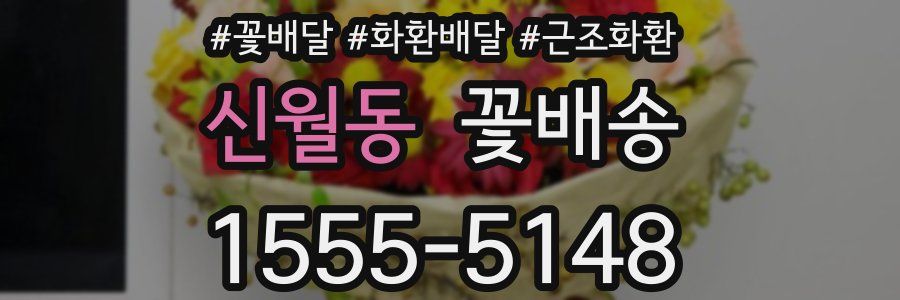 신월동 꽃배송