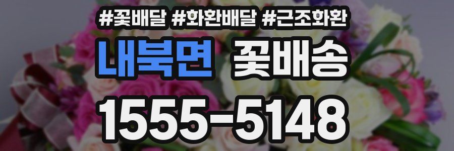 내북면 꽃배송
