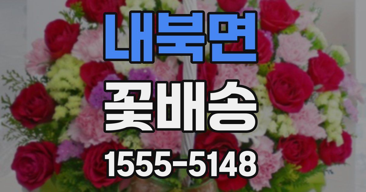 내북면 꽃배송