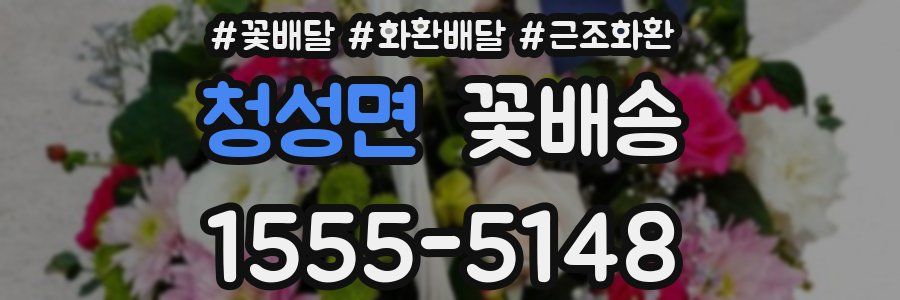 청성면 꽃배송