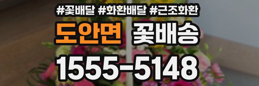 도안면 꽃배송