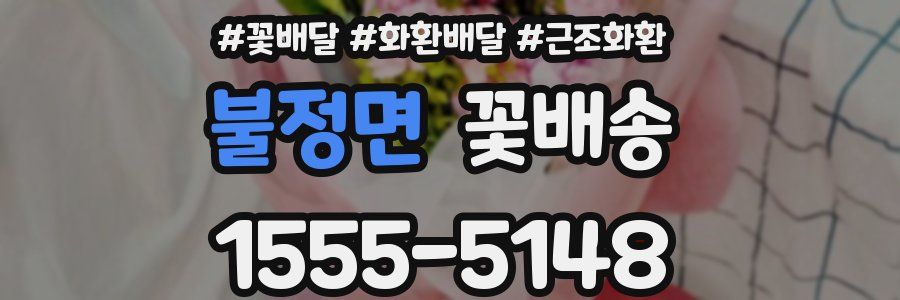 불정면 꽃배송