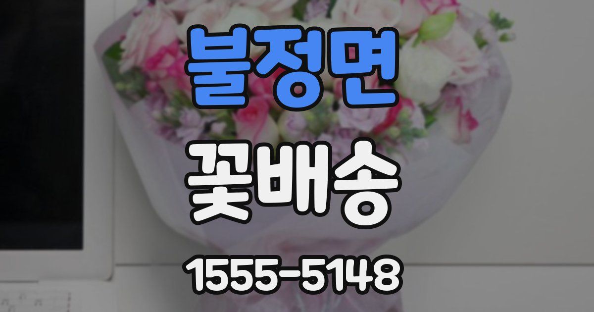 불정면 꽃배송
