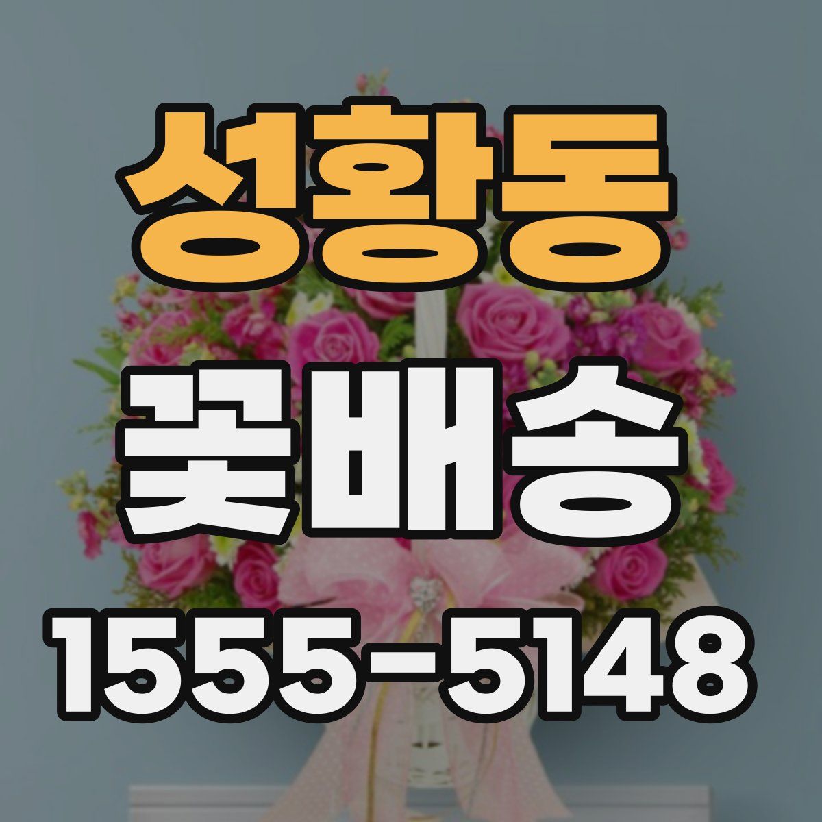성황동 꽃배송