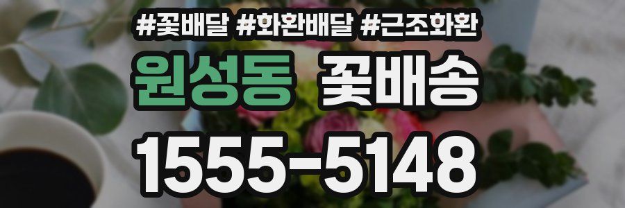 원성동 꽃배송
