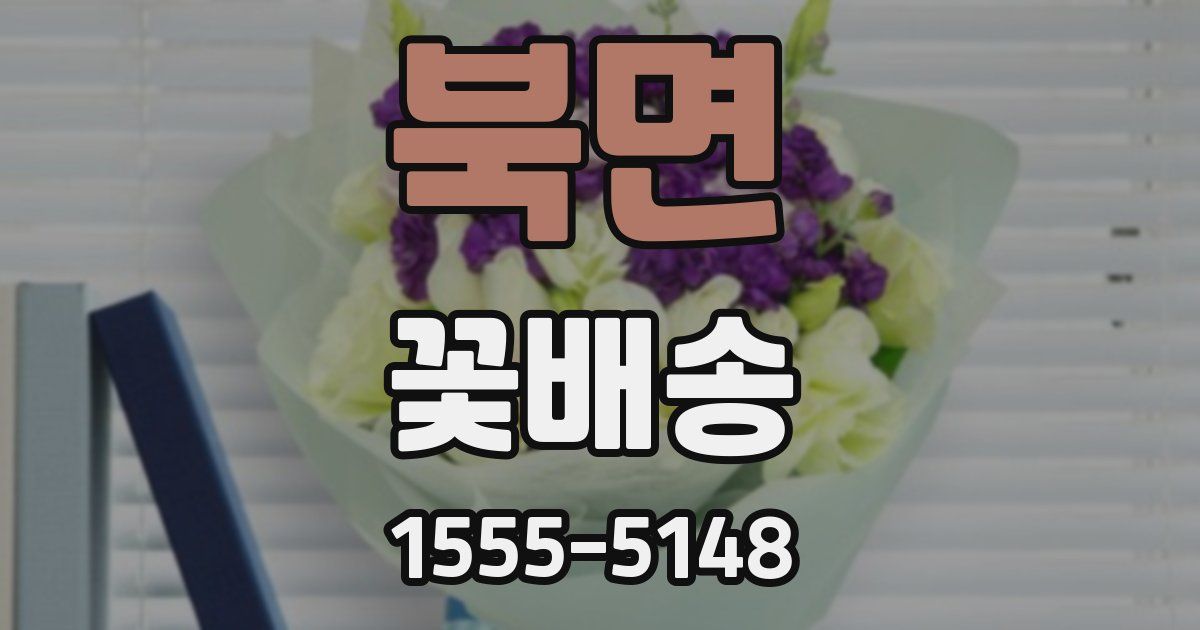 북면 꽃배송