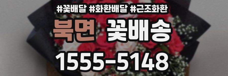 북면 꽃배송