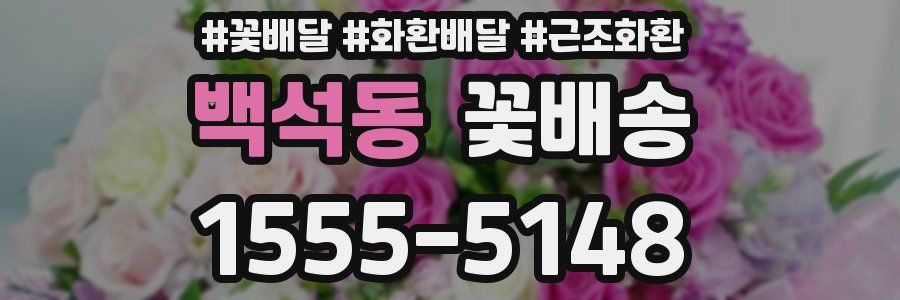 백석동 꽃배송