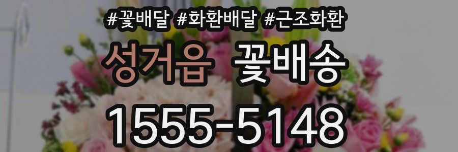 성거읍 꽃배송
