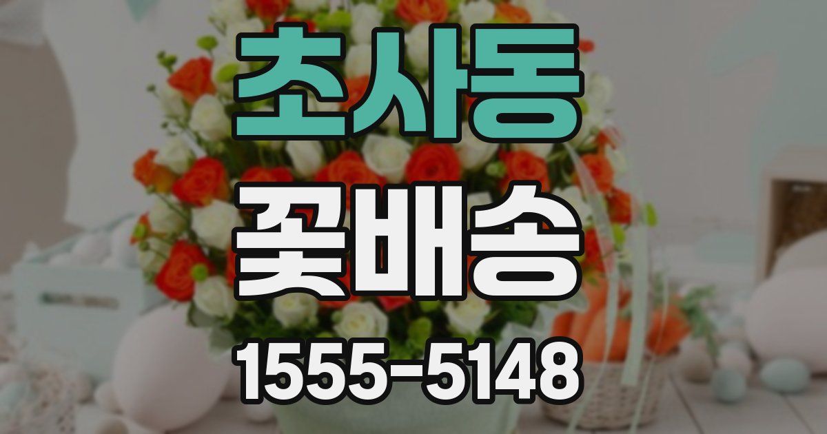 초사동 꽃배송