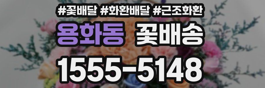 용화동 꽃배송
