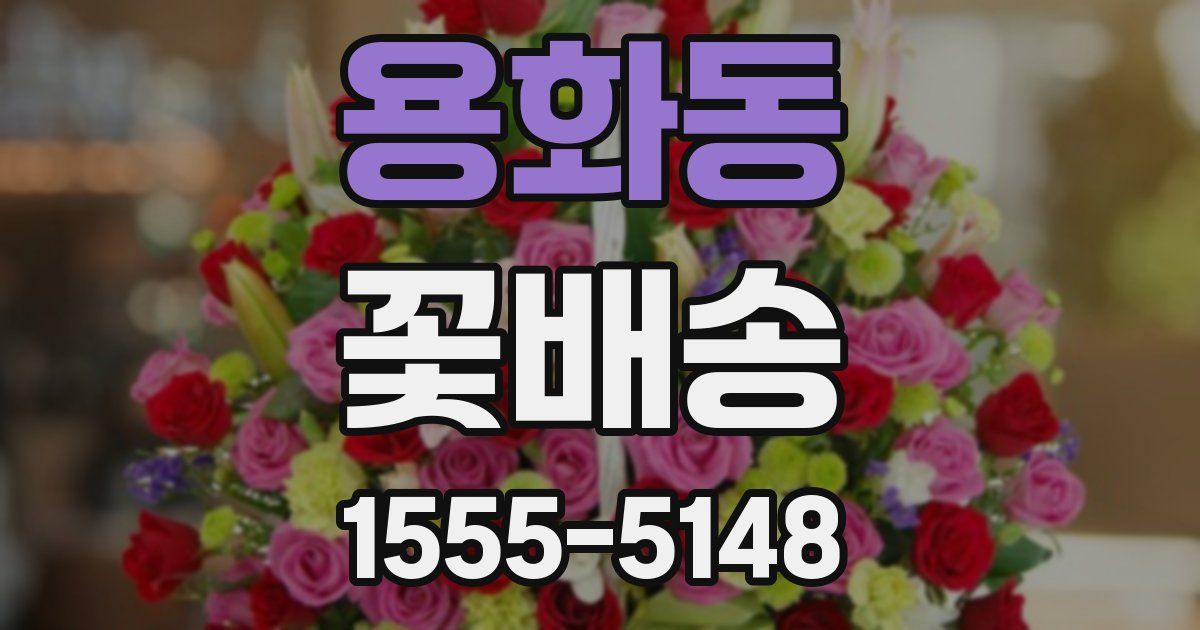 용화동 꽃배송