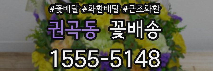 권곡동 꽃배송
