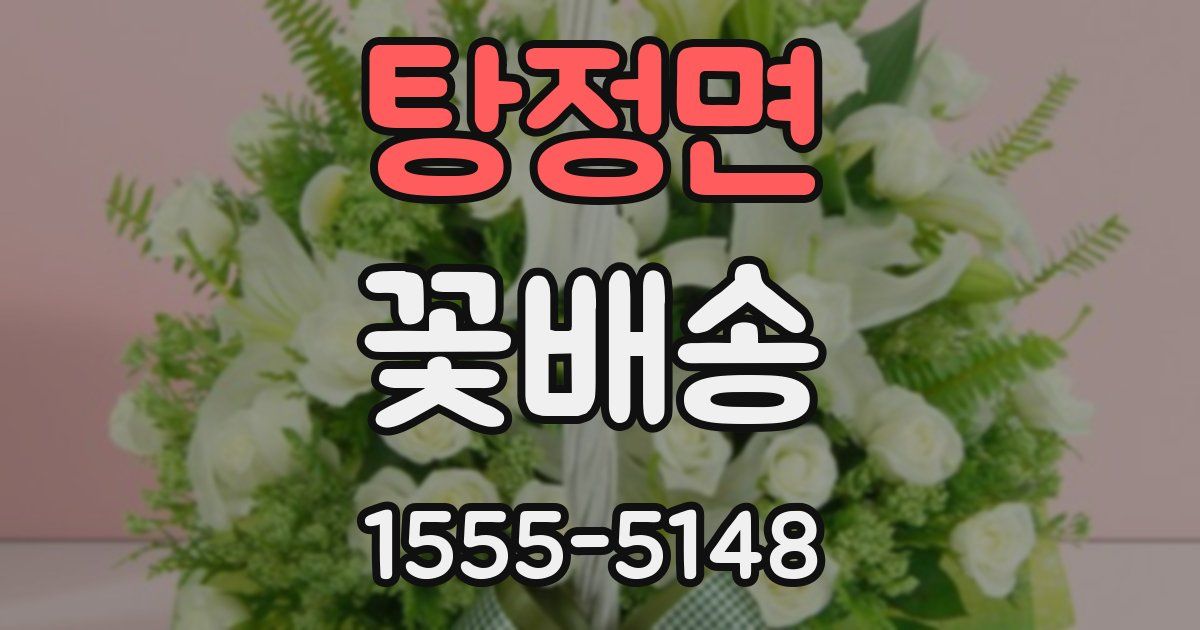 탕정면 꽃배송