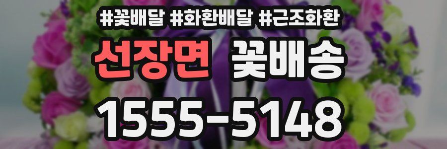 선장면 꽃배송