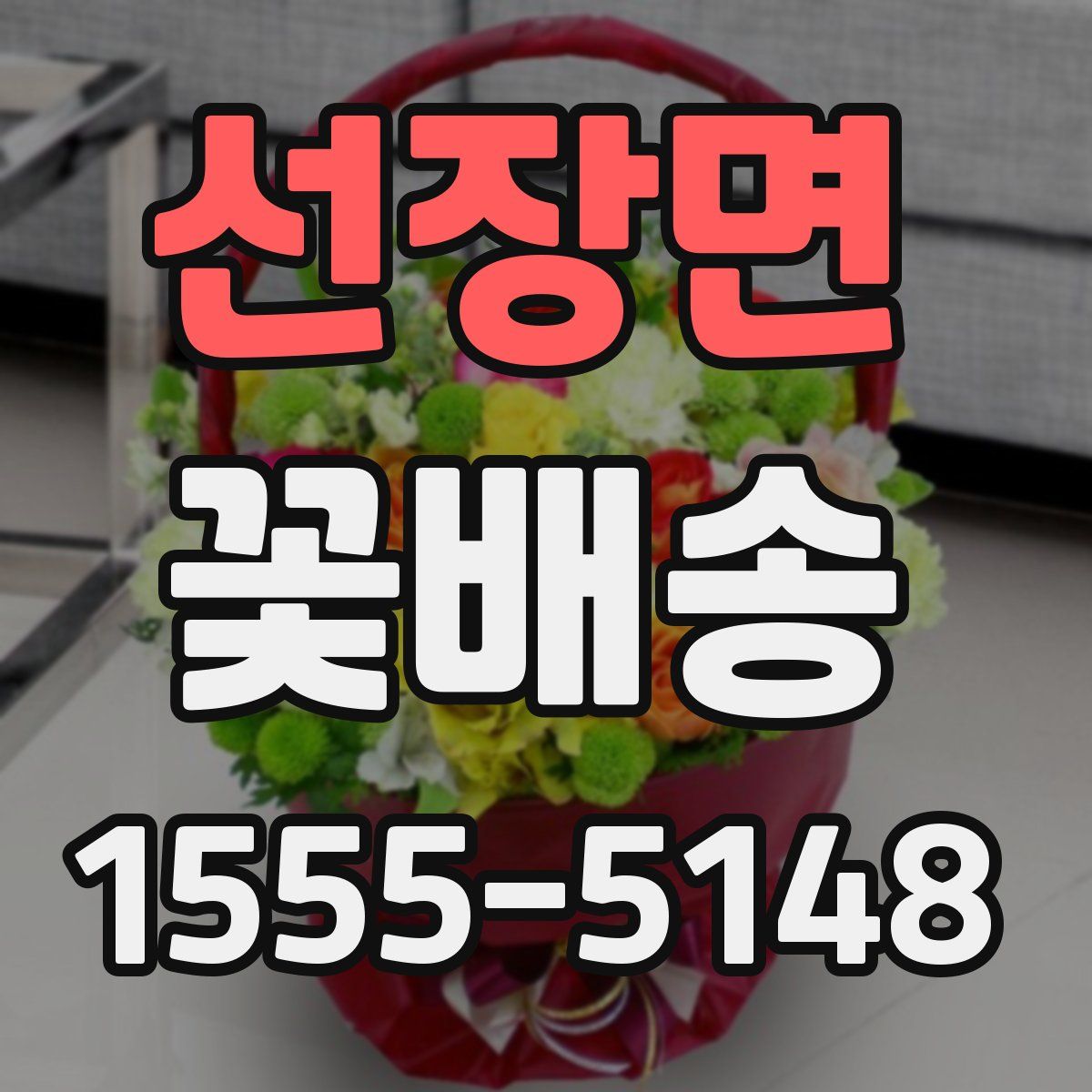 선장면 꽃배송