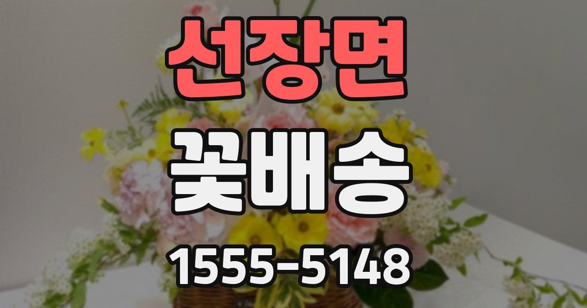 선장면 꽃배송
