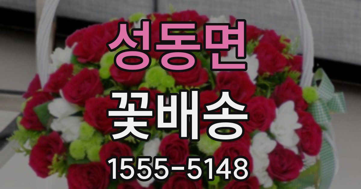 성동면 꽃배송