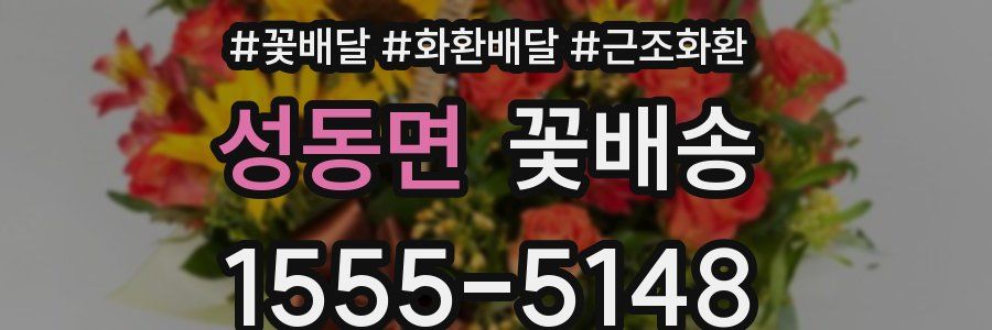 성동면 꽃배송