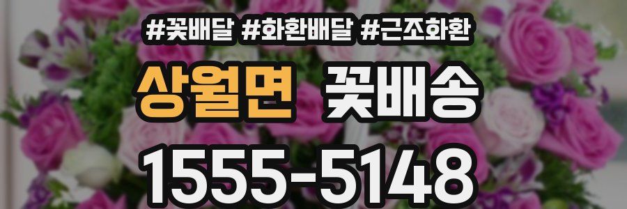 상월면 꽃배송