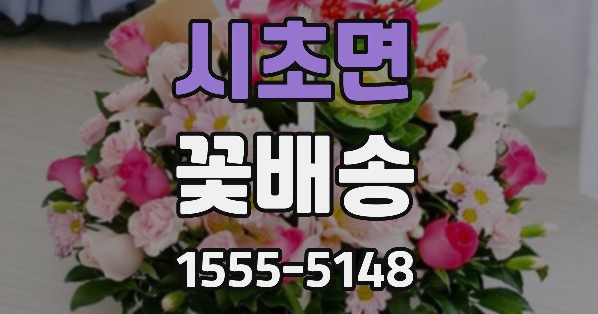 시초면 꽃배송