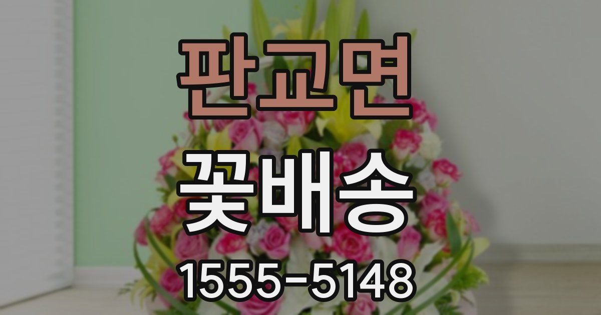 판교면 꽃배송