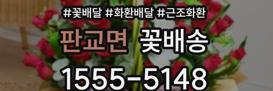 판교면 꽃배송