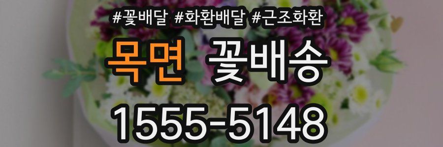 목면 꽃배송