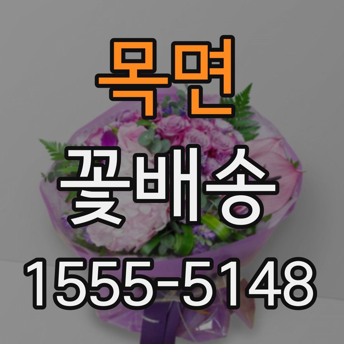 목면 꽃배송