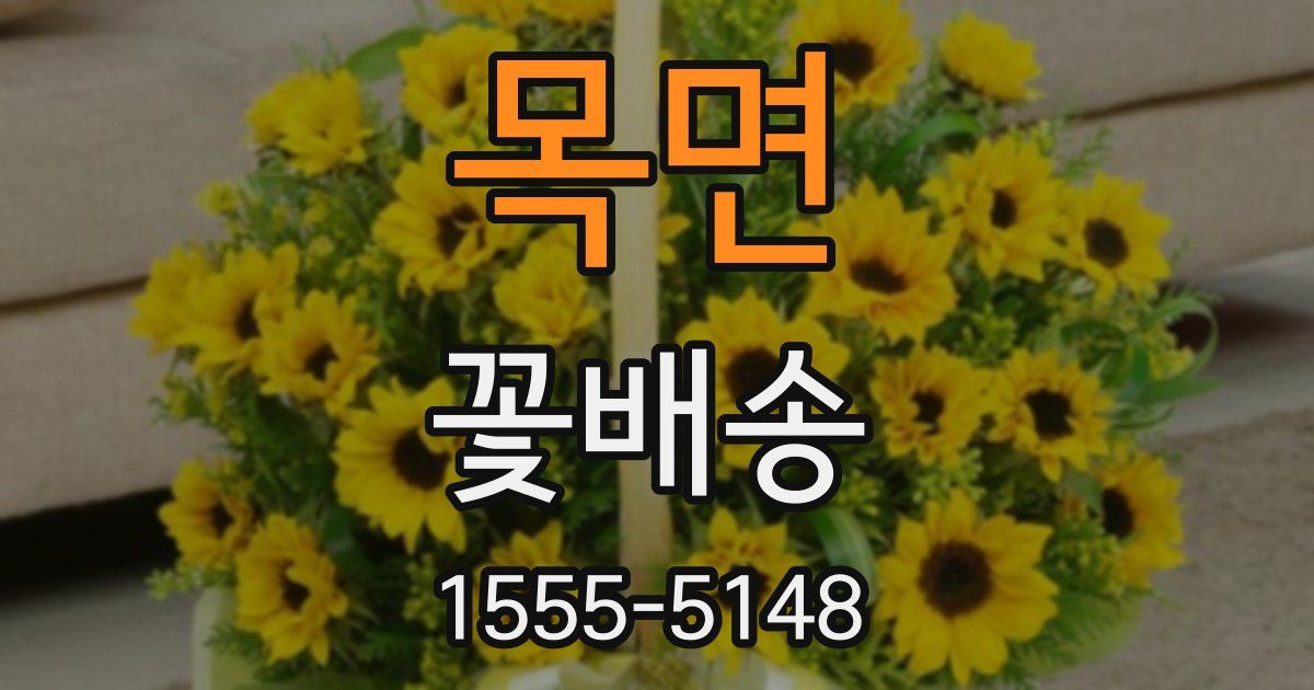 목면 꽃배송