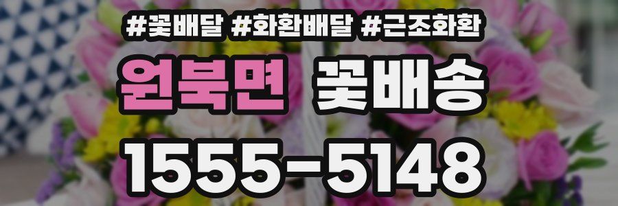 원북면 꽃배송