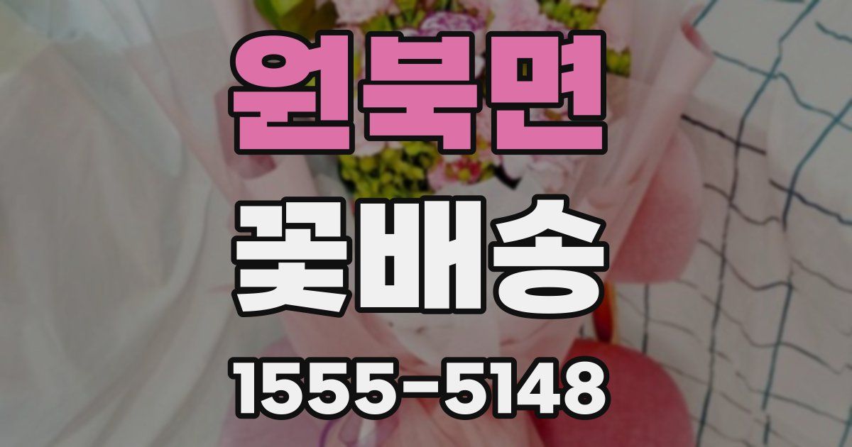 원북면 꽃배송