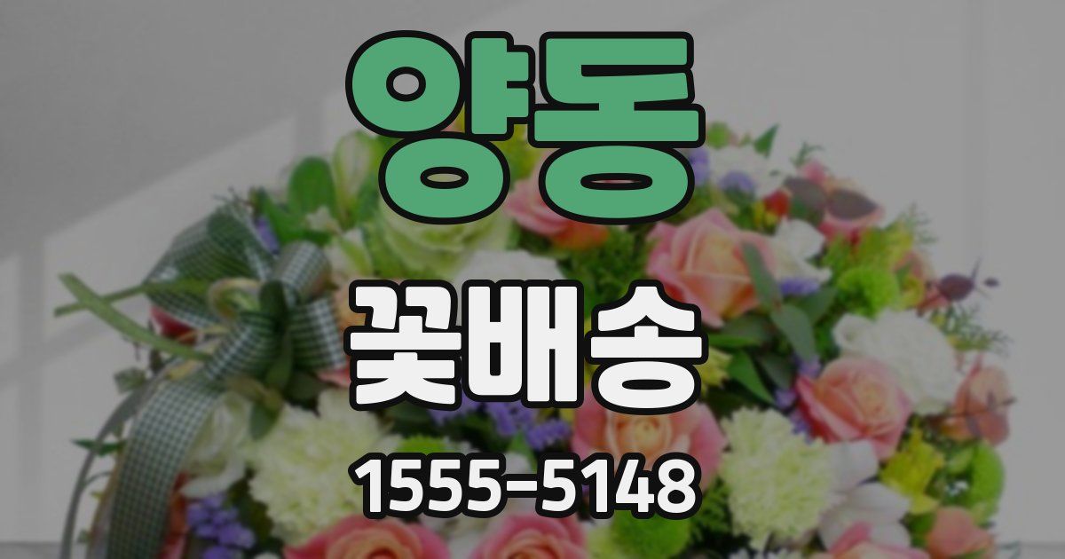 양동 꽃배송