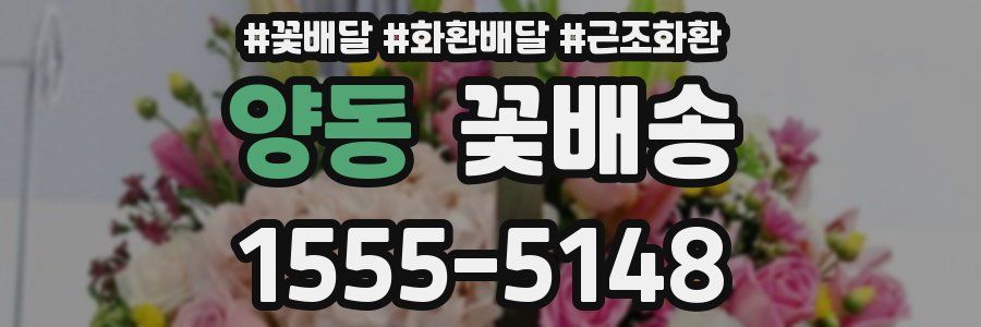 양동 꽃배송