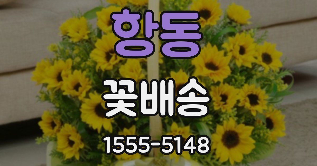 항동 꽃배송