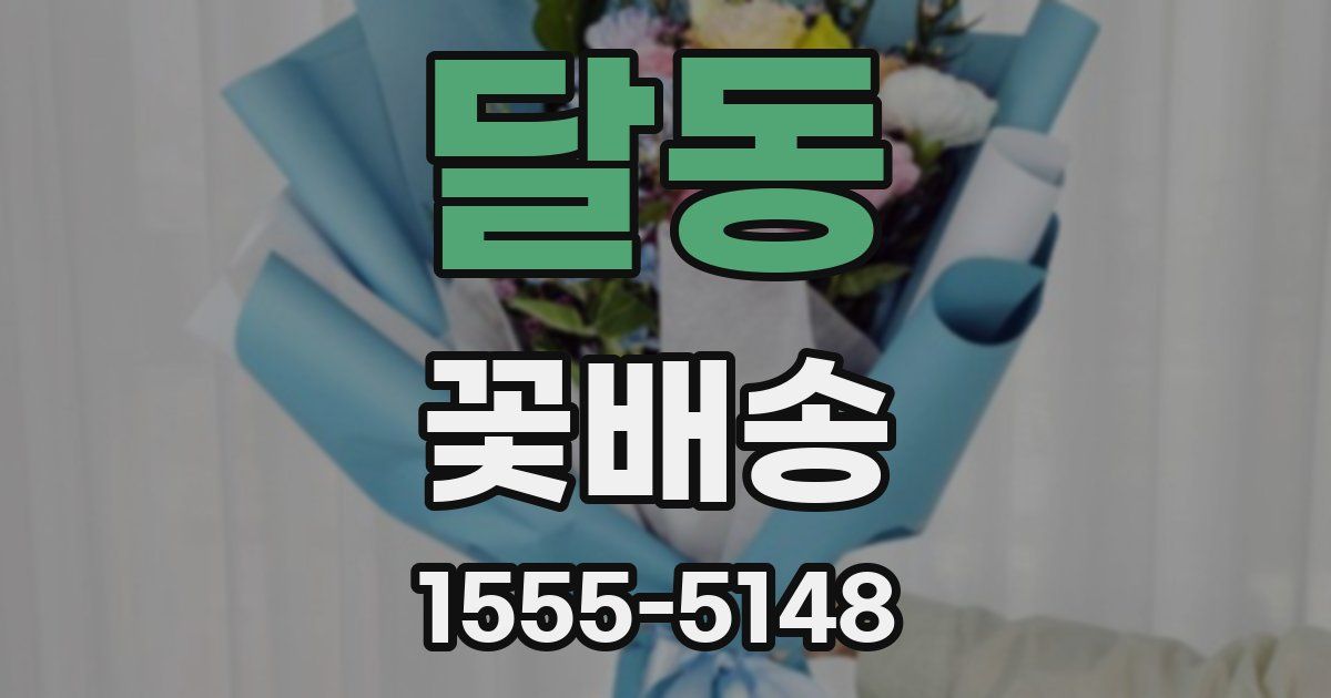 달동 꽃배송