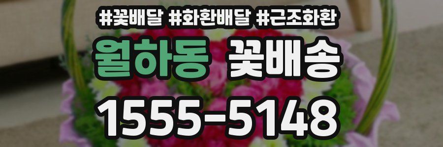 월하동 꽃배송