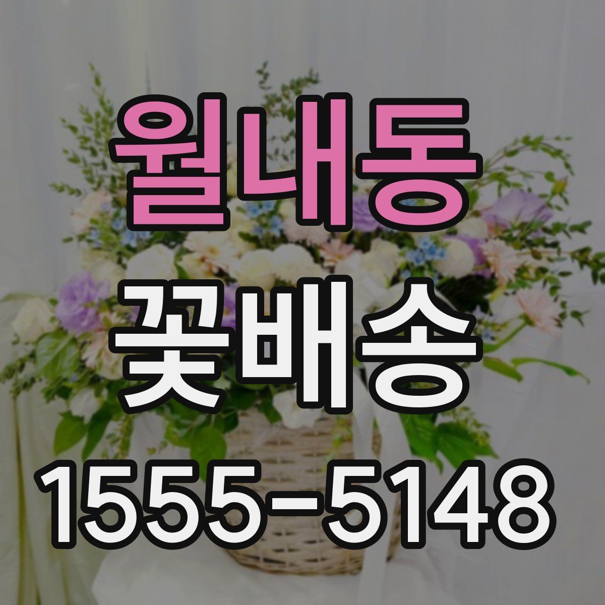 월내동 꽃배송