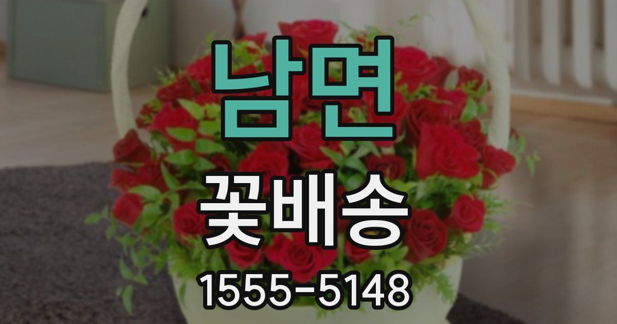 남면 꽃배송