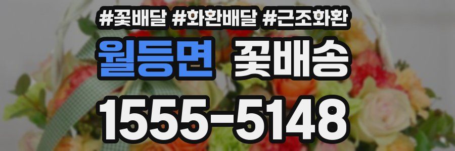 월등면 꽃배송
