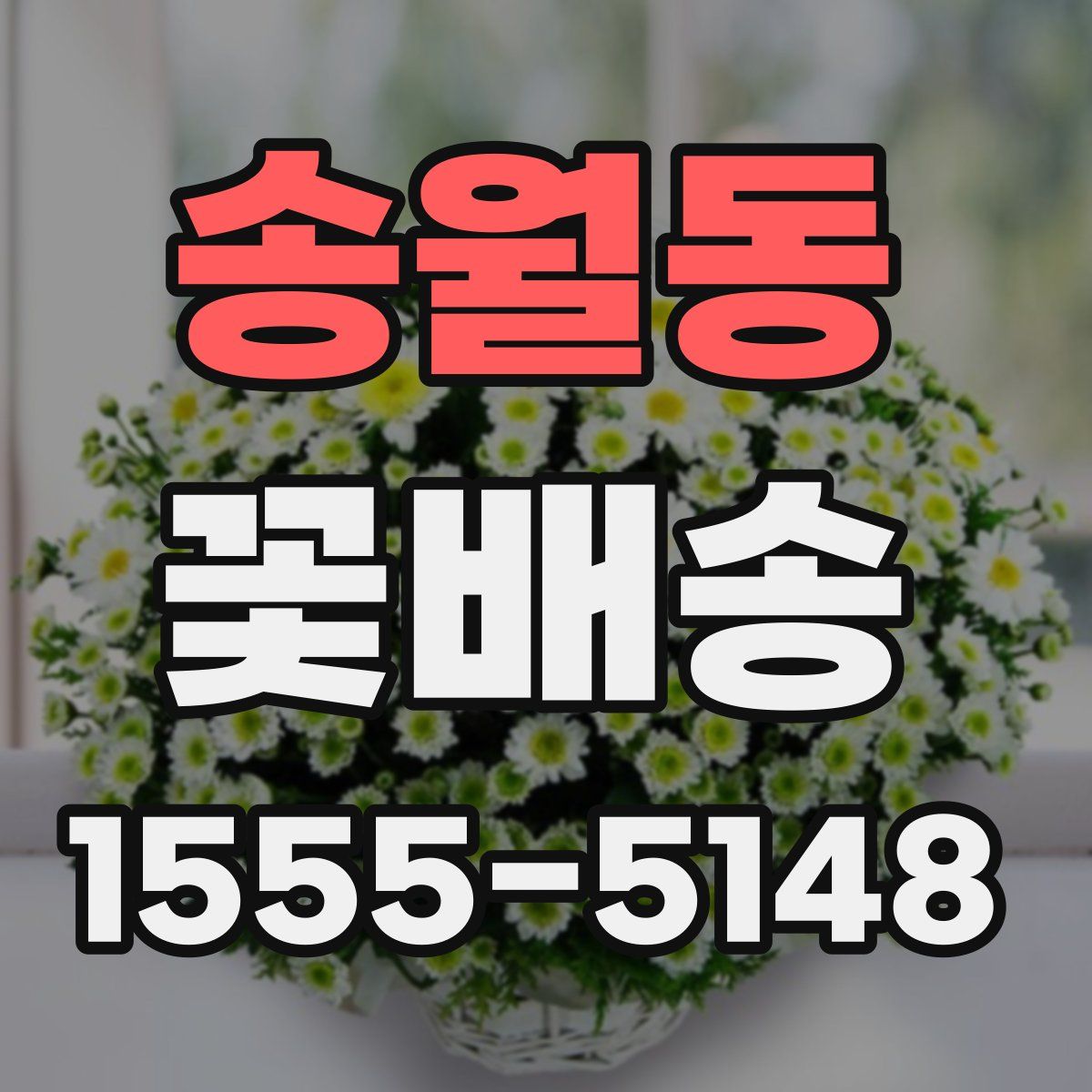 송월동 꽃배송