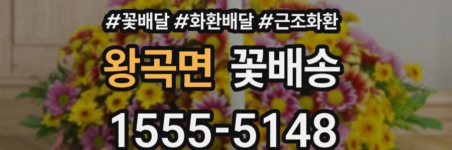 왕곡면 꽃배송