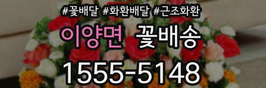 이양면 꽃배송