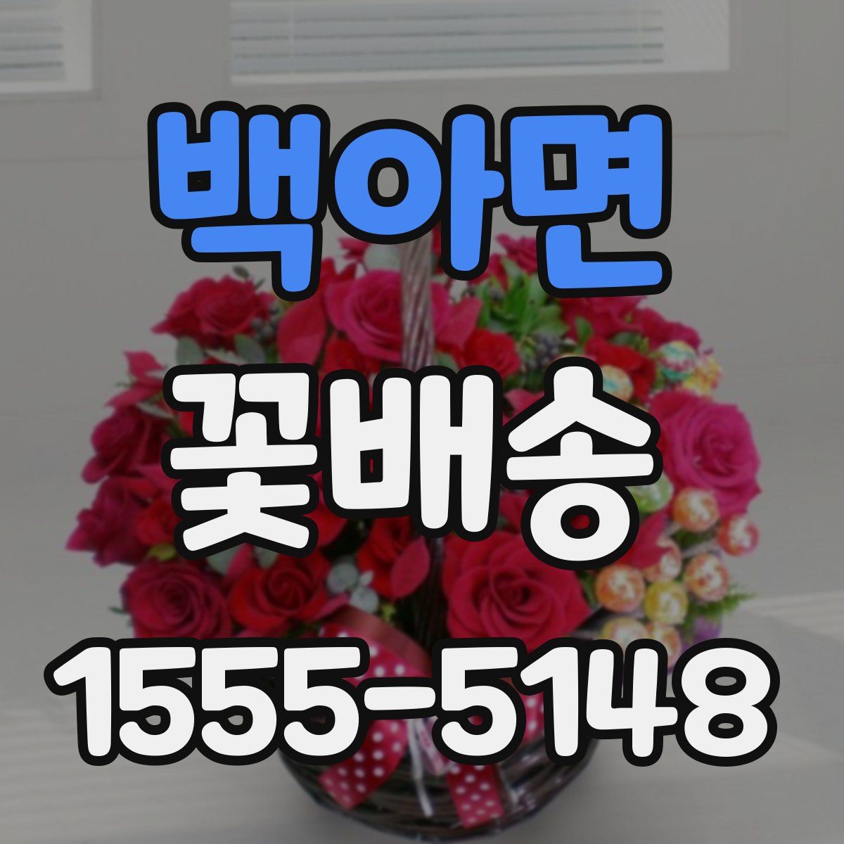백아면 꽃배송