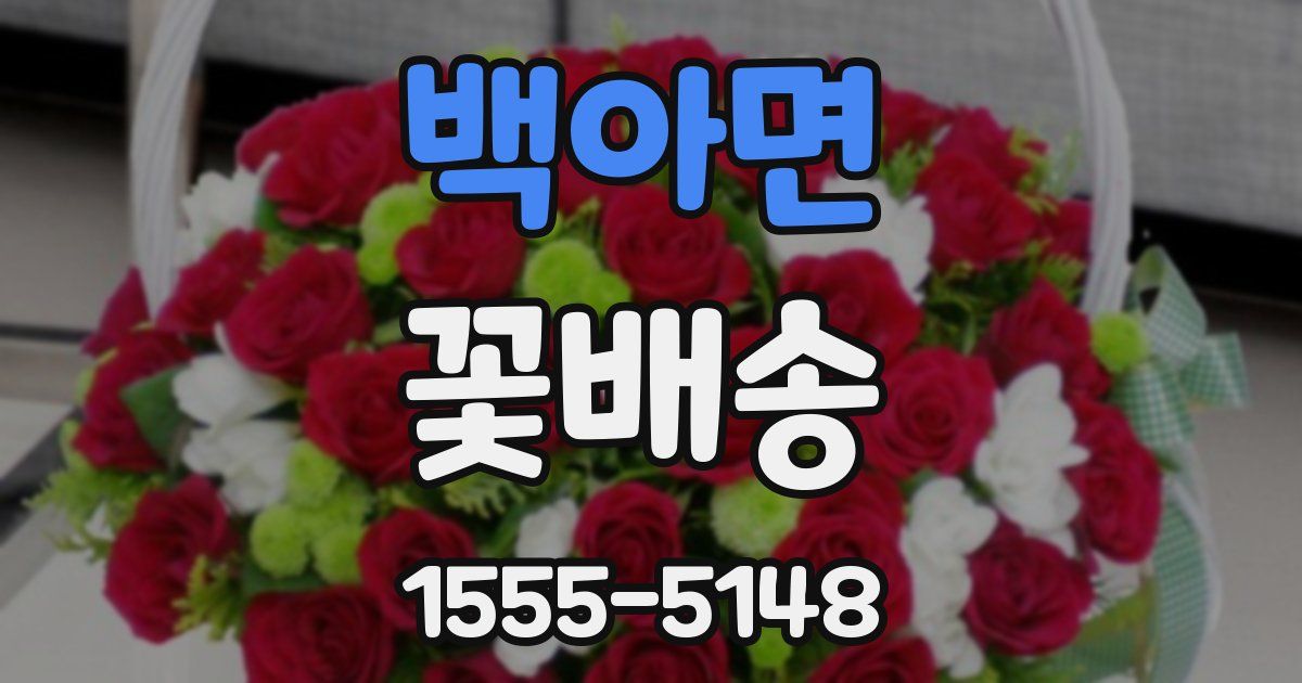 백아면 꽃배송