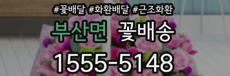 부산면 꽃배송