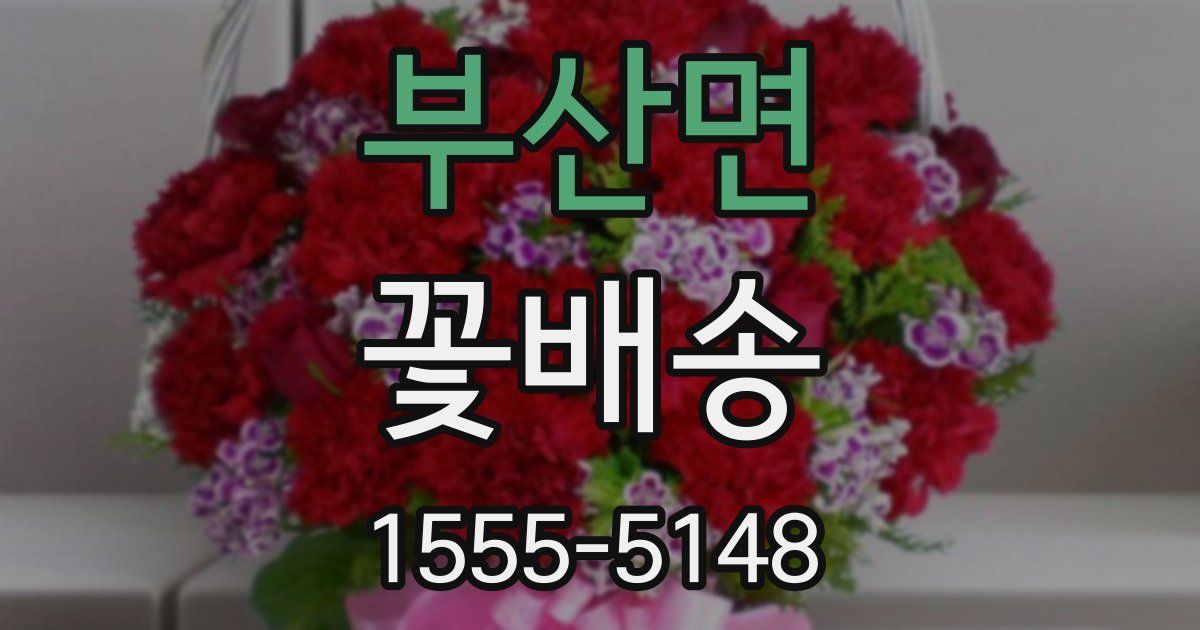 부산면 꽃배송