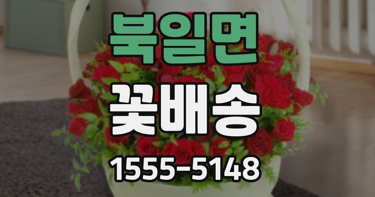 북일면 꽃배송