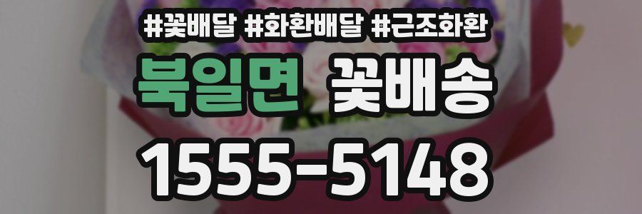 북일면 꽃배송