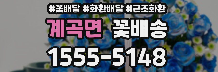 계곡면 꽃배송